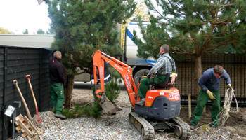 Beplantning Anl&aelig;gsgartnerfirma J&oslash;rgen W. Petersen