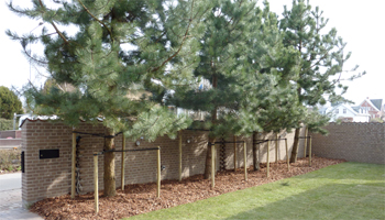 Beplantning Anl&aelig;gsgartnerfirma J&oslash;rgen W. Petersen