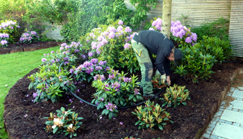Beplantning Anl&aelig;gsgartnerfirma J&oslash;rgen W. Petersen