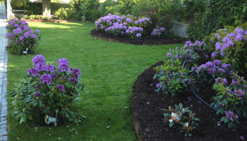Beplantning Anl&aelig;gsgartnerfirma J&oslash;rgen W. Petersen